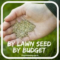 Buying Lawn Seed by Budget