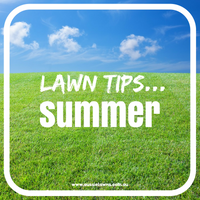 Early, Mid and Late Summer Lawn Tips