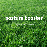 PRODUCT SPOTLIGHT - Advanced Seed Pasture Booster
