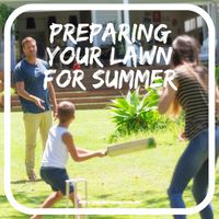 Easy Tips to Prepare your Lawn for Summer
