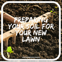 Preparing Your Soil For Your New Lawn