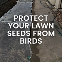 Protect Your Lawn Seed With This Quick, Easy Bird Netting Hack