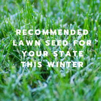 RECOMMENDED LAWN SEED FOR YOUR STATE THIS WINTER