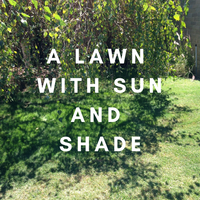 Lawns with Sun and Shade