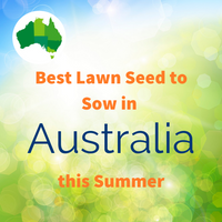 SUMMER LAWNS - Find the best lawn seed to sow in your area of Australia
