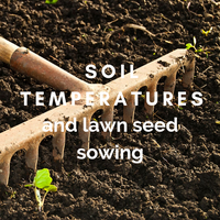 Soil Temperature and Lawn Seed Sowing - Tips