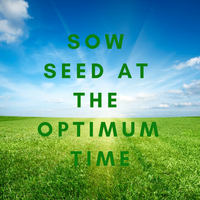 Sow Lawn Seed at the Optimum Sowing Time