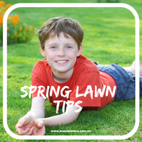 It's Spring!  Time for some Spring Lawn Tips
