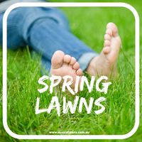 Spring Lawns