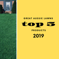 Top 5 products for 2019