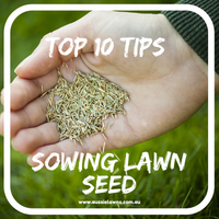 Top 10 Tips - Sowing Lawn Seed