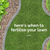 When to Fertilise your Lawn