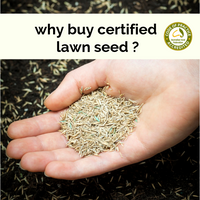 Why Buy Certified Seed?