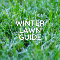 Lawn Care Guide for Winter in Australia