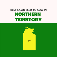 AUTUMN 2022: BEST LAWN SEED FOR NORTHERN TERRITORY