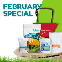 February Specials just for you!