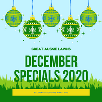 DECEMBER SPECIALS 2020 - GREAT AUSSIE LAWNS