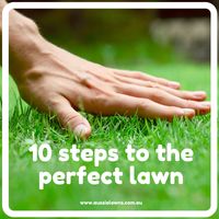 10 steps to the perfect lawn