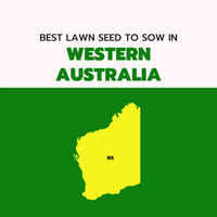 AUTUMN 2022: BEST LAWN SEED FOR WESTERN AUSTRALIA