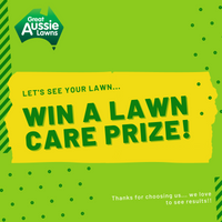 Show Your Lawn and Win!