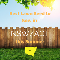 SUMMER 2019 - Best Lawn Seed to sow in NSW/ACT this Summer