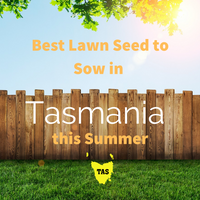 SUMMER 2019 - Best Lawn Seed to sow in TASMANIA this Summer