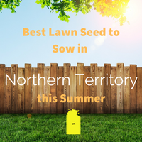 SUMMER 2019 - Best Lawn Seed to sow in the NORTHERN TERRITORY this Summer