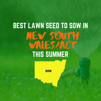 SUMMER 2020: BEST LAWN SEED FOR NEW SOUTH WALES/ACT