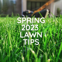 Spring 2023- Tips For Your Lawn