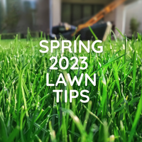 Spring 2024- Tips For Your Lawn