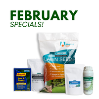 February Specials: Late Summer Lawn Deals