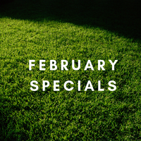 SPECIALS: See what's on Special for February