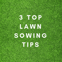 3 Top Lawn Sowing Tips