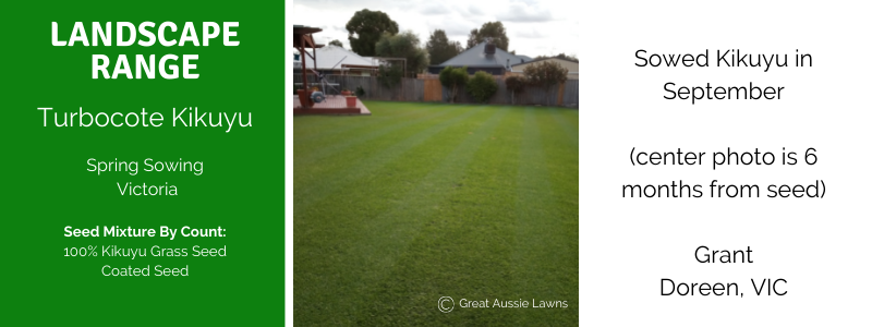 How to Install Artificial Turf on Dirt in Perth: A Step-by-Step Guide