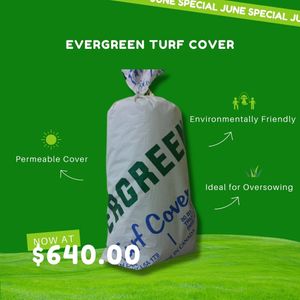 June Special - Evergreen.jpg