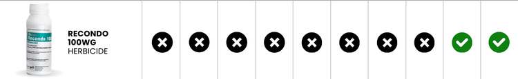 None
