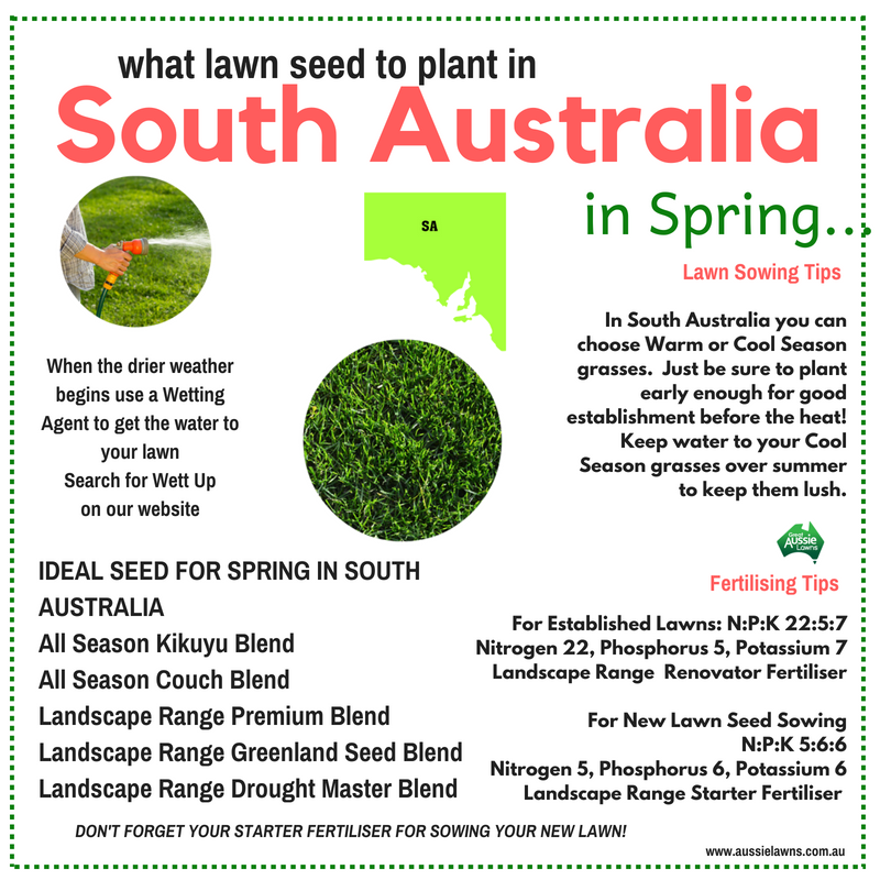 SPRING LAWNS Best Lawn Seed to Sow in South Australia in Spring