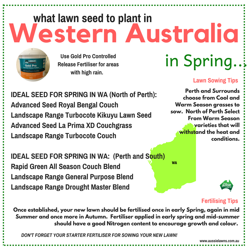SPRING LAWNS Best Lawn Seed to Sow in Western Australia in Spring