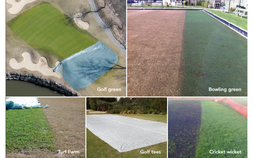Evergreen Turf Covers ask yourself these questions