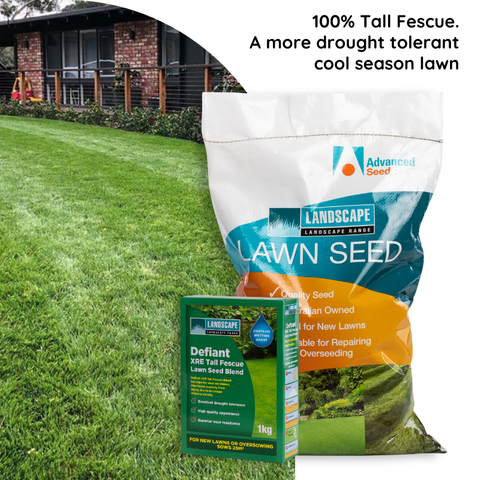 Rapid Green Defiant XRE Tall Fescue