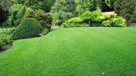 Landscape Range Premium Lawn Seed Blend