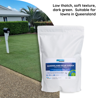 Landscape Range Queensland Blue Couch 2kg