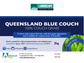 Queensland Blue Couch