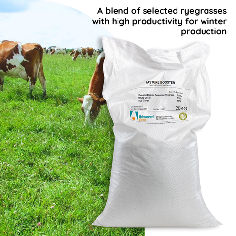 Advanced Seed Pasture Booster Seed Blend 20kg