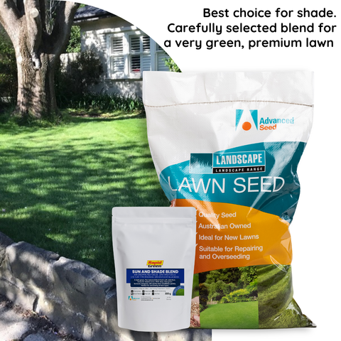 Rapid Green Sun and Shade Blend