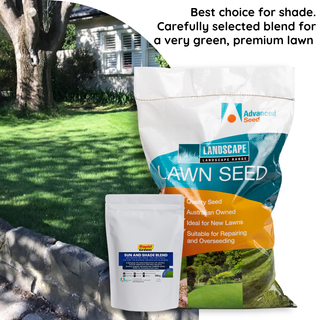 Rapid Green Sun & Shady Lawn Seed 500gm