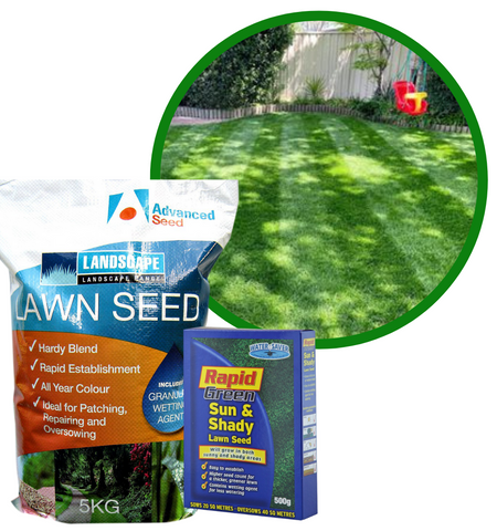 Rapid Green Sun & Shady Lawn Seed 500gm
