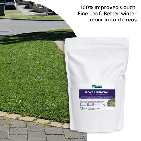 Advanced Seed Royal Bengal Couch