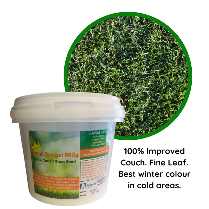 Advanced Seed Royal Bengal Couch Grass