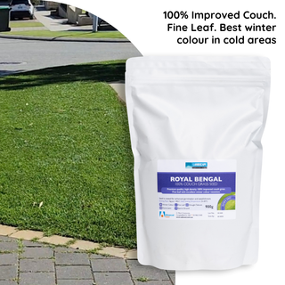 Advanced Seed Royal Bengal Couch (Coated) 900gm